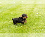 Image preview for Ad Listing. Nickname: Myran