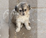 Image preview for Ad Listing. Nickname: doodle girl