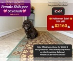 Image preview for Ad Listing. Nickname: Savanah