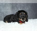 Image preview for Ad Listing. Nickname: Muffin