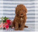 Image preview for Ad Listing. Nickname: August