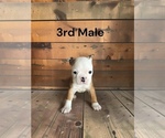 Image preview for Ad Listing. Nickname: 3rd Male