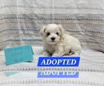 Image preview for Ad Listing. Nickname: Jasper