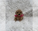 Image preview for Ad Listing. Nickname: Rosa