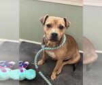 Small #2 Puggle