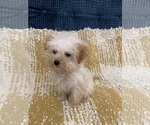 Image preview for Ad Listing. Nickname: Heaven