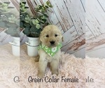 Image preview for Ad Listing. Nickname: Green Female