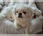 Image preview for Ad Listing. Nickname: Aspen