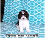 Image preview for Ad Listing. Nickname: Captain