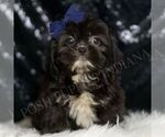 Image preview for Ad Listing. Nickname: Grizzly