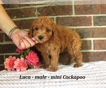 Image preview for Ad Listing. Nickname: Luca