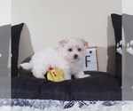 Image preview for Ad Listing. Nickname: Tanner