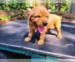 Image preview for Ad Listing. Nickname: Girl 1