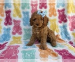 Image preview for Ad Listing. Nickname: Truffles