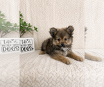 Image preview for Ad Listing. Nickname: Bear