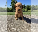 Image preview for Ad Listing. Nickname: Avery