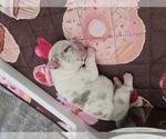 Image preview for Ad Listing. Nickname: Zion