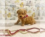 Image preview for Ad Listing. Nickname: Earl