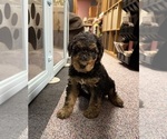 Small #4 Airedale Terrier