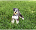 Image preview for Ad Listing. Nickname: Champ
