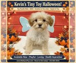 Image preview for Ad Listing. Nickname: Kevin