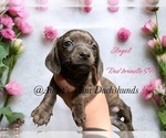 Image preview for Ad Listing. Nickname: Angel