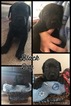 Small Photo #1 Bullmastiff-Great Dane Mix Puppy For Sale in BUCKHANNON, WV, USA