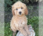 Image preview for Ad Listing. Nickname: Jane