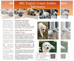 Image preview for Ad Listing. Nickname: Litter of 12