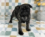 Image preview for Ad Listing. Nickname: Franklin