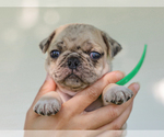 Image preview for Ad Listing. Nickname: Antonio