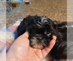 Image preview for Ad Listing. Nickname: Nelldean
