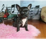 Image preview for Ad Listing. Nickname: Merlies girl