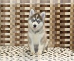 Image preview for Ad Listing. Nickname: Wrigley