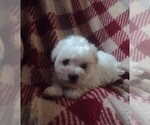 Image preview for Ad Listing. Nickname: Snow