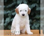 Image preview for Ad Listing. Nickname: Clipso
