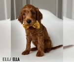 Image preview for Ad Listing. Nickname: Ella