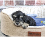 Image preview for Ad Listing. Nickname: Jonah