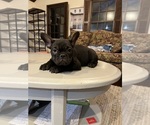 Image preview for Ad Listing. Nickname: Baby