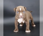 Image preview for Ad Listing. Nickname: Set