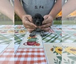  - Photo #2