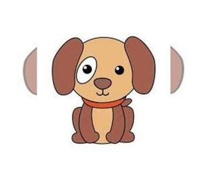 Mutt Puppy for sale in SAN FRANCISCO, CA, USA