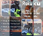 Small #2 Breeder Profile image