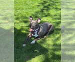 Small #2 Mutt