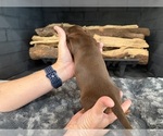  - Photo #5