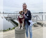 Small #2 American Staffordshire Terrier Mix