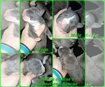 Image preview for Ad Listing. Nickname: Green Male
