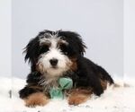 Image preview for Ad Listing. Nickname: Demi