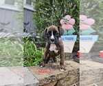 Image preview for Ad Listing. Nickname: Male 2