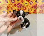 Image preview for Ad Listing. Nickname: Tiny Layla